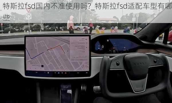 特斯拉fsd國內(nèi)不準(zhǔn)使用嗎?_特斯拉fsd適配車型有哪些