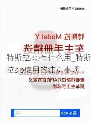 特斯拉ap有什么用_特斯拉ap使用的注意事項(xiàng)