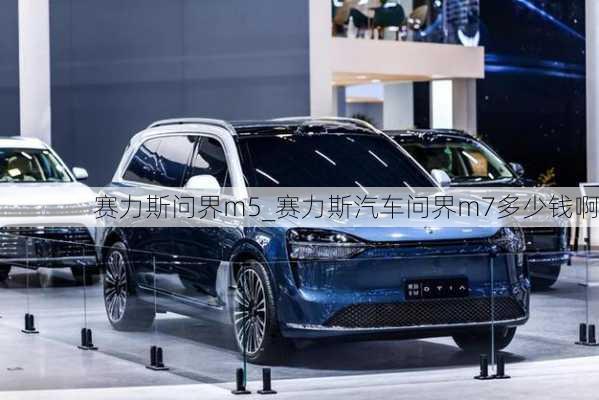 賽力斯問界m5_賽力斯汽車問界m7多少錢啊