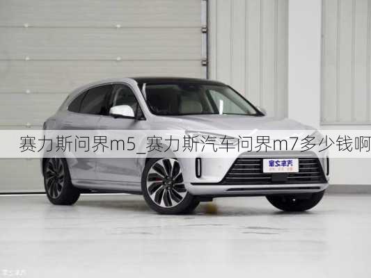 賽力斯問界m5_賽力斯汽車問界m7多少錢啊