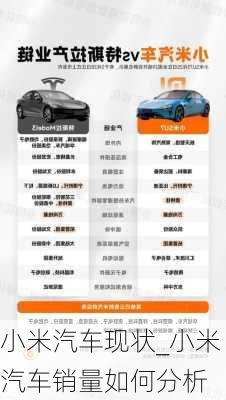 小米汽車現(xiàn)狀_小米汽車銷量如何分析