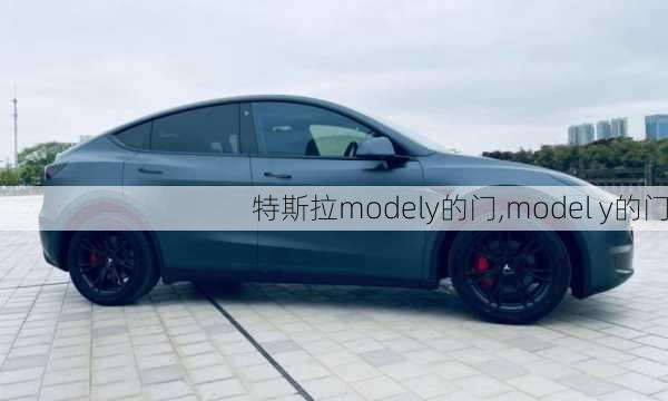 特斯拉modely的門,model y的門