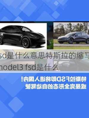 fsd是什么意思特斯拉的縮寫,model3 fsd是什么