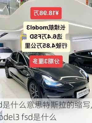 fsd是什么意思特斯拉的縮寫,model3 fsd是什么