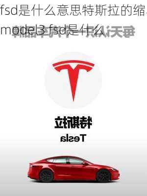 fsd是什么意思特斯拉的縮寫,model3 fsd是什么