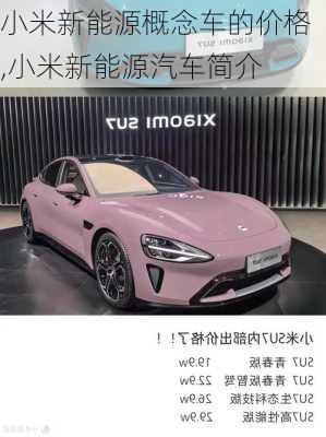 小米新能源概念車的價格,小米新能源汽車簡介