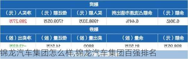 錦龍汽車集團(tuán)怎么樣,錦龍汽車集團(tuán)百?gòu)?qiáng)排名