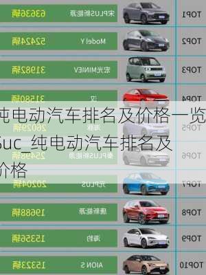 純電動汽車排名及價格一覽Suc_純電動汽車排名及價格