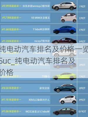 純電動汽車排名及價格一覽Suc_純電動汽車排名及價格