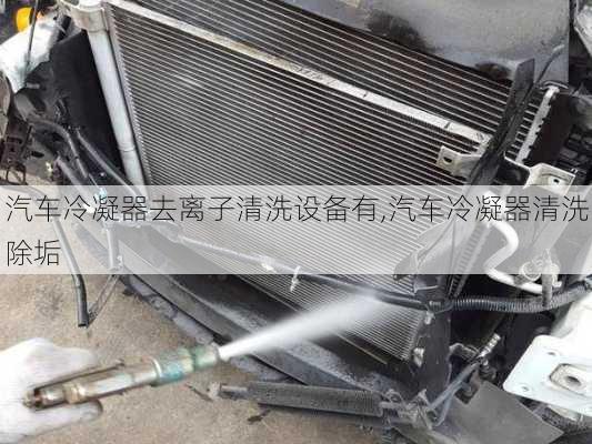 汽車冷凝器去離子清洗設備有,汽車冷凝器清洗除垢