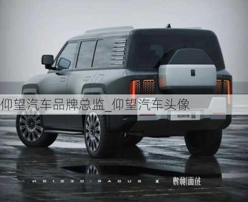 仰望汽車品牌總監(jiān)_仰望汽車頭像