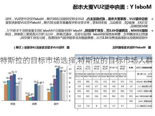 特斯拉的目標(biāo)市場選擇,特斯拉的目標(biāo)市場人群