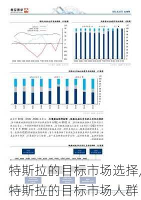 特斯拉的目標(biāo)市場選擇,特斯拉的目標(biāo)市場人群