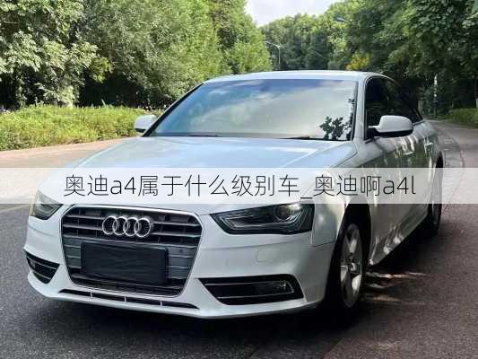 奧迪a4屬于什么級別車_奧迪啊a4l