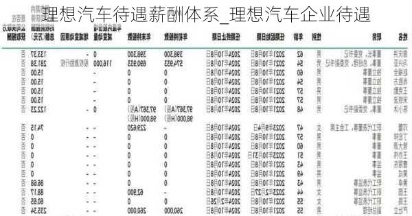 理想汽車待遇薪酬體系_理想汽車企業(yè)待遇