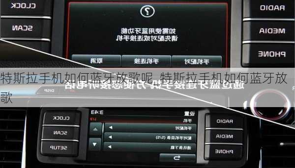特斯拉手機如何藍牙放歌呢_特斯拉手機如何藍牙放歌