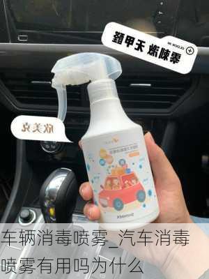 車輛消毒噴霧_汽車消毒噴霧有用嗎為什么