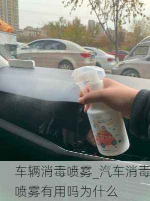 車輛消毒噴霧_汽車消毒噴霧有用嗎為什么