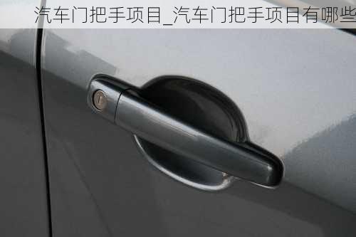 汽車門把手項(xiàng)目_汽車門把手項(xiàng)目有哪些