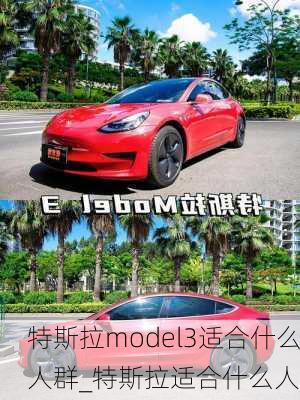 特斯拉model3適合什么人群_特斯拉適合什么人