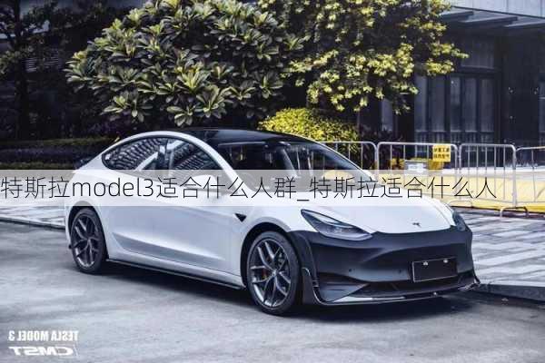 特斯拉model3適合什么人群_特斯拉適合什么人