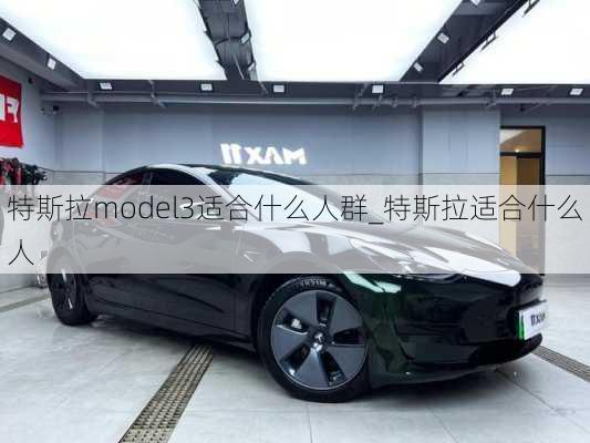 特斯拉model3適合什么人群_特斯拉適合什么人