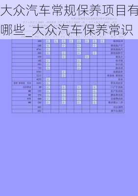 大眾汽車常規(guī)保養(yǎng)項(xiàng)目有哪些_大眾汽車保養(yǎng)常識