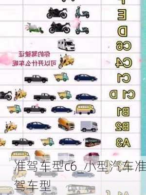 準(zhǔn)駕車(chē)型c6_小型汽車(chē)準(zhǔn)駕車(chē)型