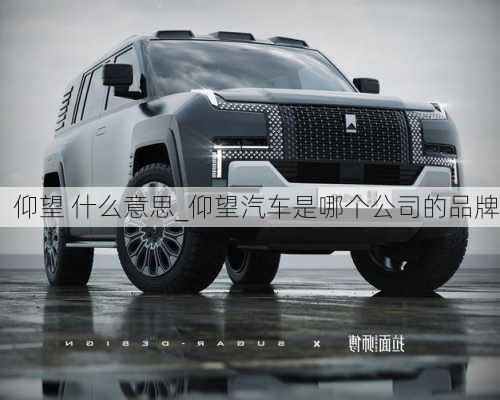 仰望 什么意思_仰望汽車是哪個(gè)公司的品牌