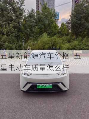 五星新能源汽車價格_五星電動車質(zhì)量怎么樣