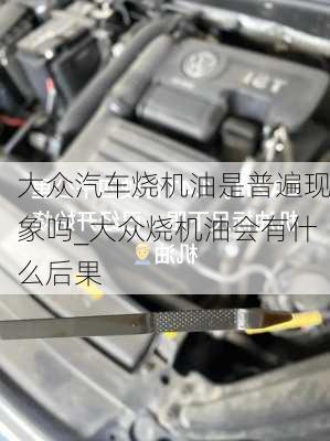 大眾汽車燒機油是普遍現(xiàn)象嗎_大眾燒機油會有什么后果