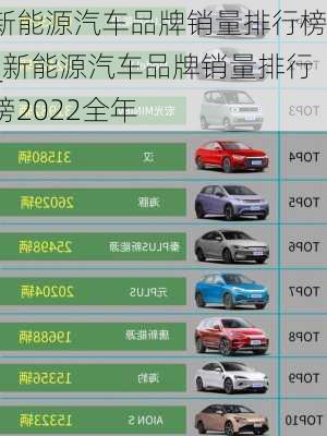 新能源汽車品牌銷量排行榜_新能源汽車品牌銷量排行榜2022全年