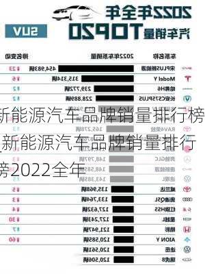 新能源汽車品牌銷量排行榜_新能源汽車品牌銷量排行榜2022全年