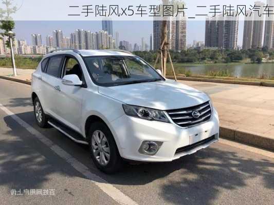 二手陸風(fēng)x5車型圖片_二手陸風(fēng)汽車