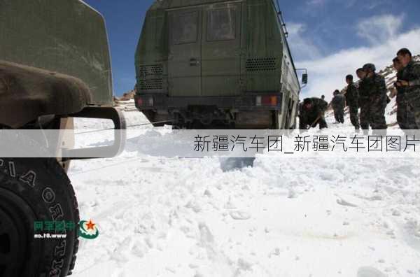 新疆汽車團(tuán)_新疆汽車團(tuán)圖片