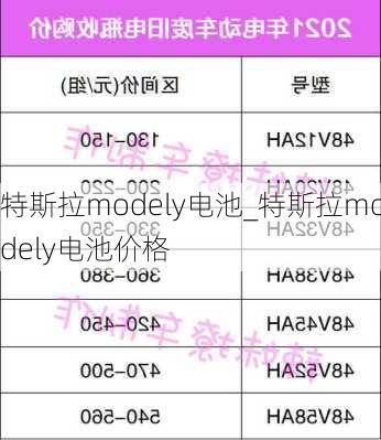 特斯拉modely電池_特斯拉modely電池價(jià)格