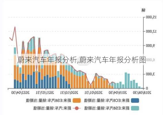 蔚來汽車年報分析,蔚來汽車年報分析圖