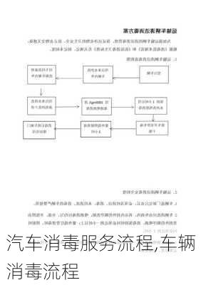 汽車消毒服務(wù)流程,車輛消毒流程