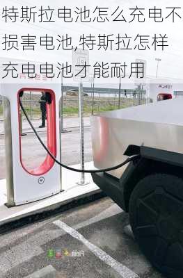 特斯拉電池怎么充電不損害電池,特斯拉怎樣充電電池才能耐用