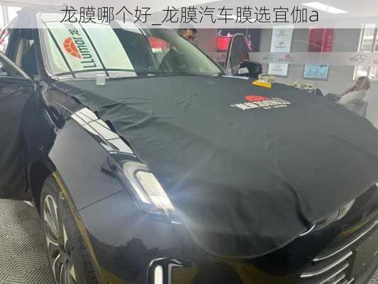 龍膜哪個好_龍膜汽車膜選宜伽a