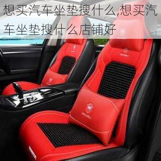 想買汽車坐墊搜什么,想買汽車坐墊搜什么店鋪好