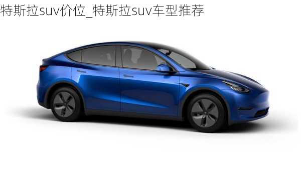 特斯拉suv價(jià)位_特斯拉suv車型推薦