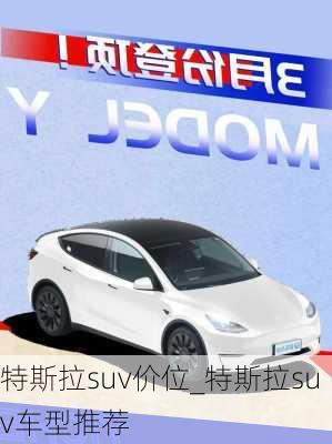 特斯拉suv價(jià)位_特斯拉suv車型推薦