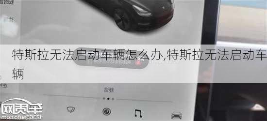 特斯拉無法啟動(dòng)車輛怎么辦,特斯拉無法啟動(dòng)車輛