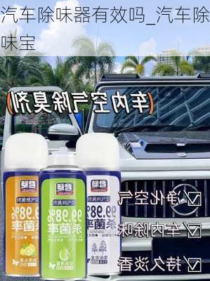 汽車除味器有效嗎_汽車除味寶