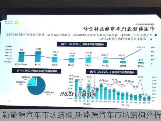 新能源汽車市場結(jié)構(gòu),新能源汽車市場結(jié)構(gòu)分析