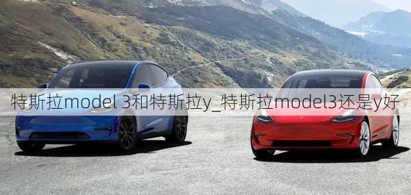 特斯拉model 3和特斯拉y_特斯拉model3還是y好