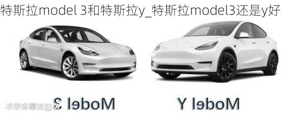 特斯拉model 3和特斯拉y_特斯拉model3還是y好