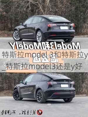 特斯拉model 3和特斯拉y_特斯拉model3還是y好