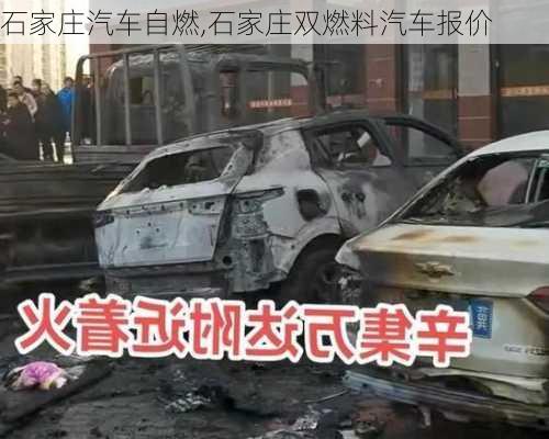 石家莊汽車自燃,石家莊雙燃料汽車報價